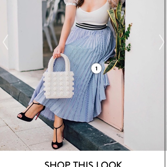 Chicwish Dresses & Skirts - Chic wish skirt